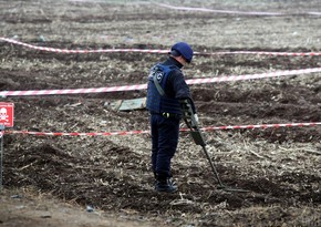 Japan, Cambodia agree to cooperate in landmine clearance in Ukraine