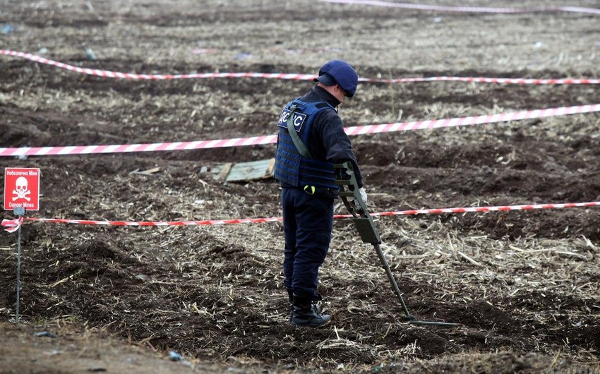 Japan, Cambodia agree to cooperate in landmine clearance in Ukraine