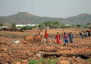 ООН заявила о гуманитарной катастрофе в Эфиопии