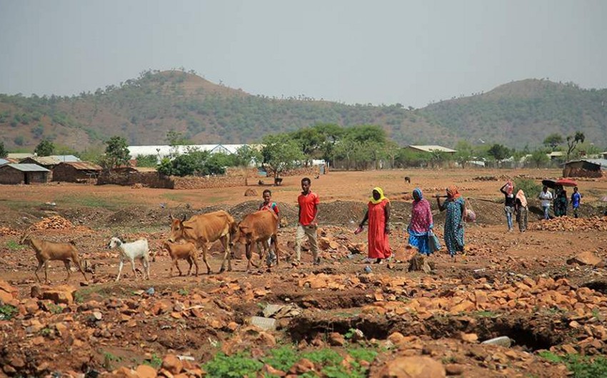 ООН заявила о гуманитарной катастрофе в Эфиопии
