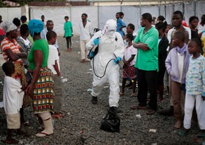 В Гвинее и ДР Конго выявили 30 инфицированных вирусом Эбола