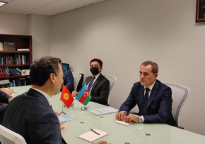 Состоялась встреча глав МИД Азербайджана и Кыргызстана