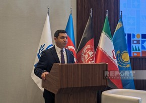 Azerbaijan's tourism agency official calls for implementation of joint projects with ECO states