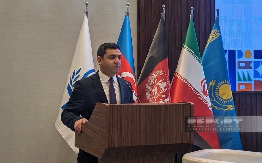 Azerbaijan's tourism agency official calls for implementation of joint projects with ECO states