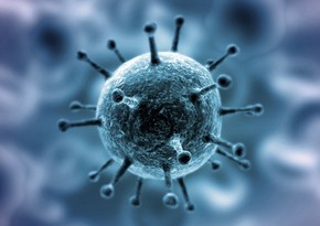Словения введет ограничительные меры в связи с коронавирусом