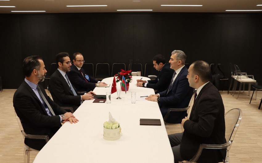 Azerbaijani, Turkish officials discuss cooperation in migration 