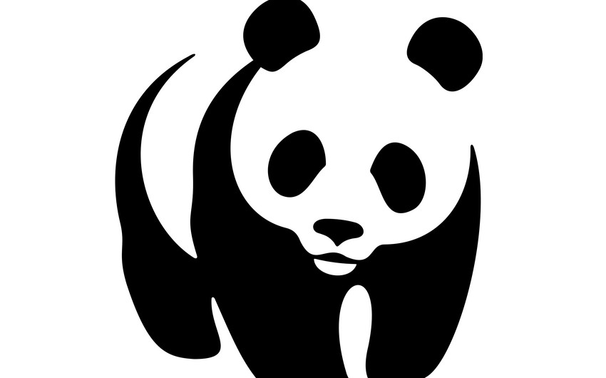 WWF: 2028-ci ilə qədər dünyada heyvanların 20%-i yox olacaq