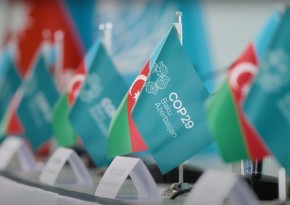 Elmar Mammadov: Azerbaijan's COP29 initiatives guided by 5 key principles