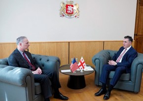 Глава МИД Грузии принял cтаршего советника Госдепа США по переговорам на Кавказе
