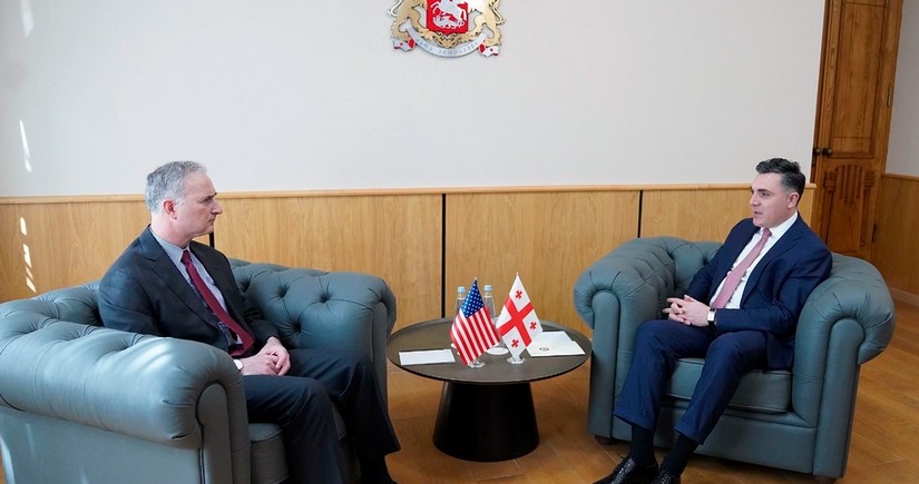 Глава МИД Грузии принял cтаршего советника Госдепа США по переговорам на Кавказе