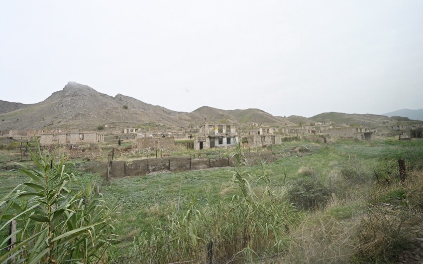 Armenians destroy 57 hectares of forest and 11 natural monuments in Fuzuli 