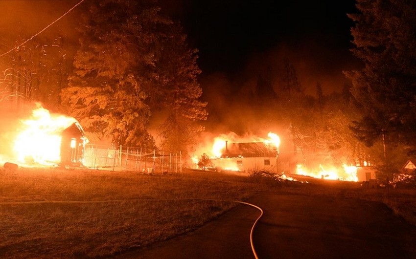 Kaliforniyada meşə yanğınları nəticəsində 8 nəfər itkin düşüb