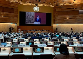 Теймур Мусаев выступил на пленарном заседании Всемирной ассамблеи здравоохранения 