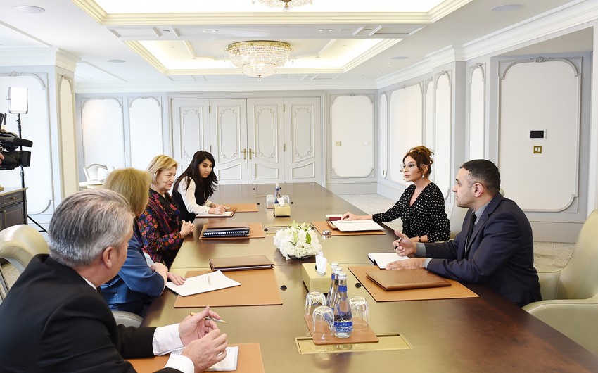 Первый вице-президент Азербайджана встретилась с торговым посланником премьер-министра Великобритании