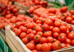 İndiyədək Azərbaycanın 187 müəssisəsindən Rusiyaya pomidor ixracına icazə verilib