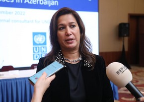 UNDP: “Minatəmizləmə işləri Azərbaycan üçün prioritetlərdən biridir”