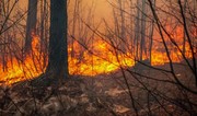 Residents evacuated as wildfires ravage Turkish landscape