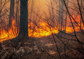 Residents evacuated as wildfires ravage Turkish landscape