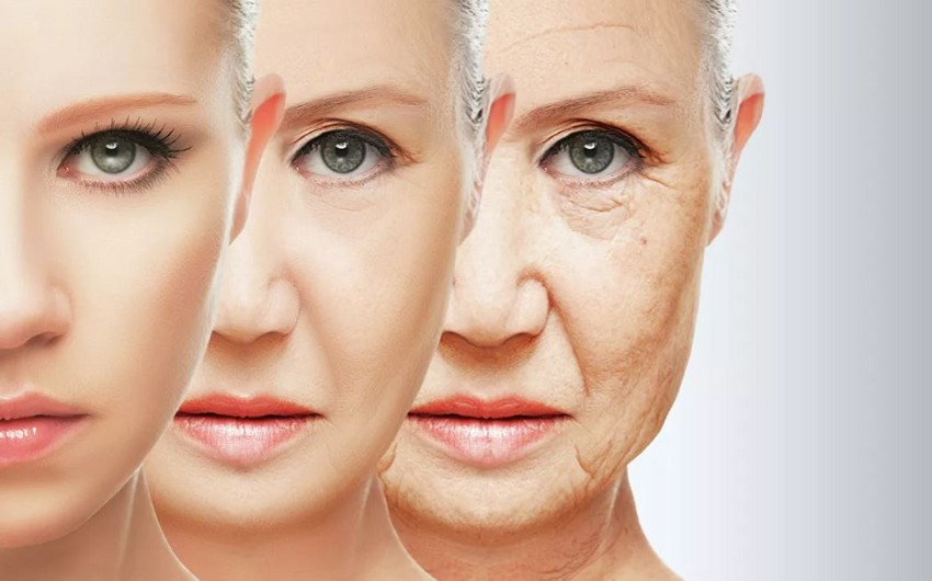 Ученые обнаружили фактор преждевременного старения