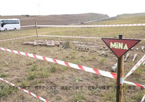 На прошлой неделе на освобожденных территориях обезврежено 97 мин