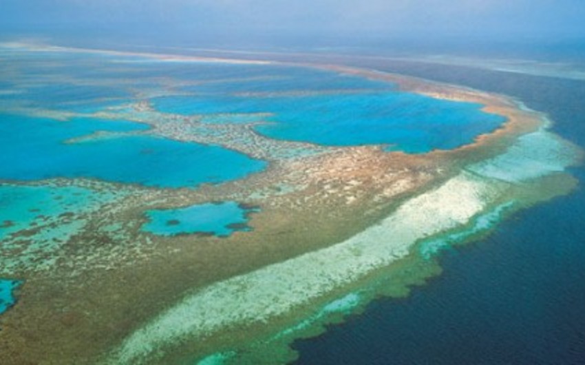Австралия объявила о максимальной опасности для Большого барьерного рифа