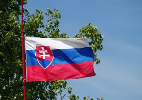В Словакии будут проведены заседания правительства и Госсовета безопасности