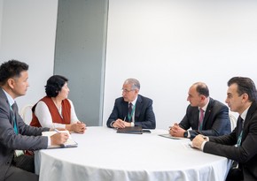 COP29 president meets Kyrgyzstan's special rep for environment in Colombia