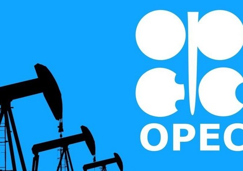 ОПЕК:  Рост добычи нефти в РФ и Казахстане отвечает сезонной модели спроса