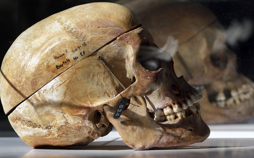 Skull museums in Europe - PHOTO