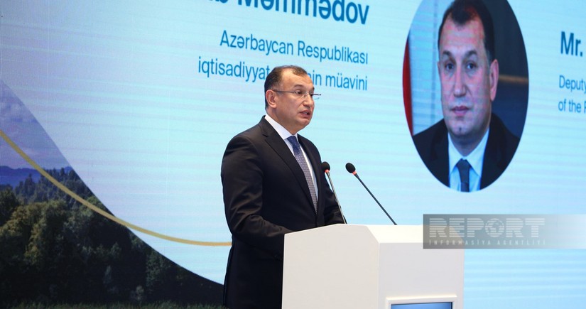 Замминистра: Азербайджан готов работать с заинтересованными сторонами для обеспечения финансирования энергоперехода
