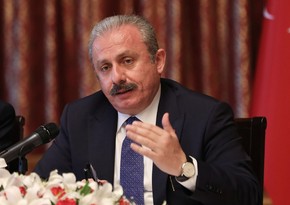 Председатель турецкого парламента: Армения должна подписать мирный договор