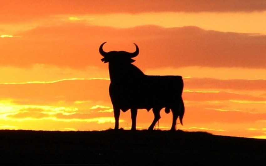 ​Cбежавший в Испании с ярмарки бык забодал 11 человек