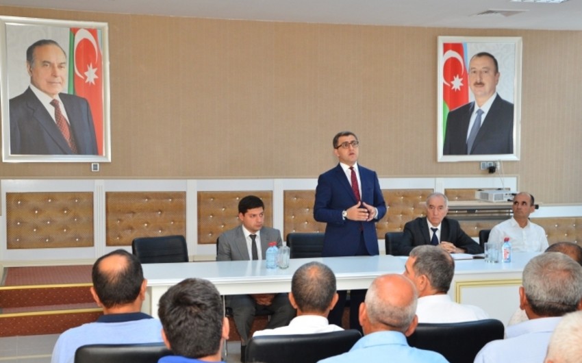 Azerbaijan establishes Date-plum Producers and Exporters Association