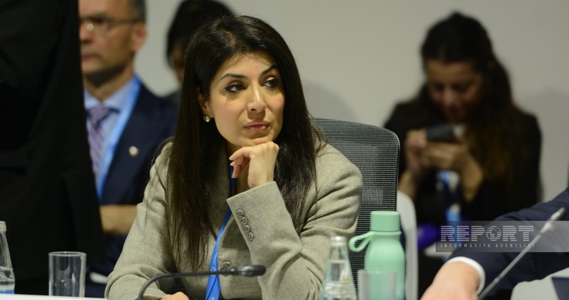 Azerbaijani MP suggests temporary quota to boost women's presence in diplomacy