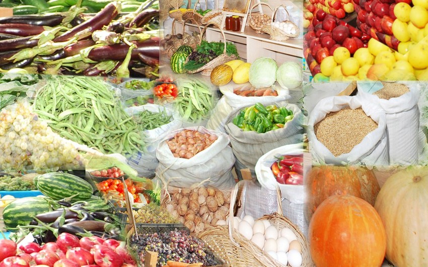 Developed concept for establishing agricultural products brand in Azerbaijan