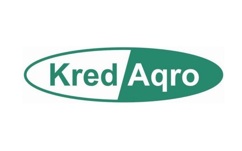 “Kredaqro”nun aktivləri 47% azalıb
