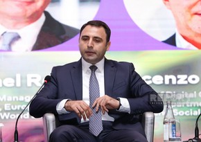 Agency official: Digital transformation to save 2,000 trees per year in Azerbaijan