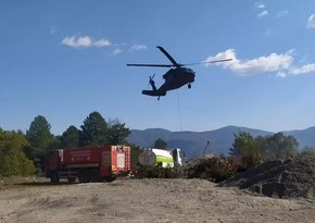 В Турции начался лесной пожар, к тушению привлечены вертолеты и самолеты