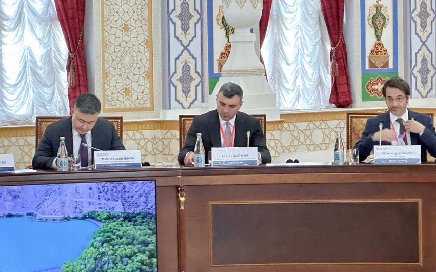 Azerbaijan participates in Swiss Constituency Meeting held in Tajikistan