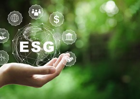 В Азербайджане разрабатывается единая платформа ESG