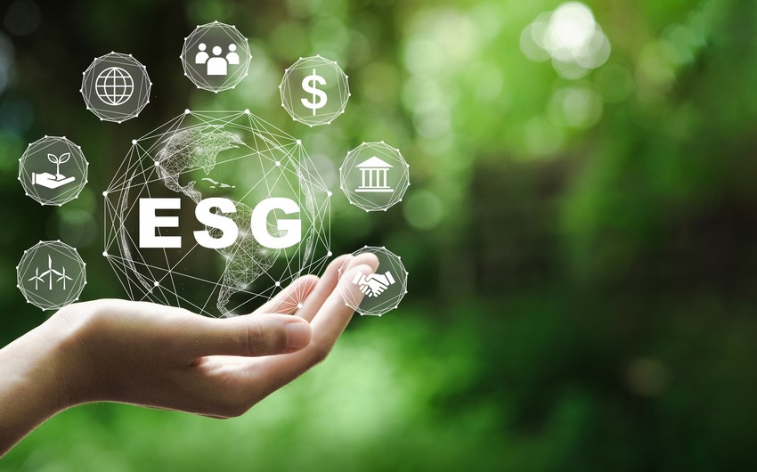 В Азербайджане разрабатывается единая платформа ESG