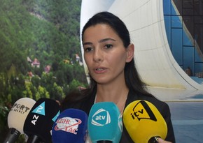 Gürcüstan rəsmisi: “Azərbaycan ölkəmizdə turizmin inkişafına töhfə verib”