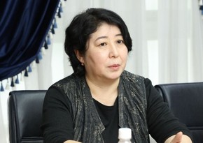 Kyrgyz official: Azerbaijan's initiatives within COP29 framework are very important