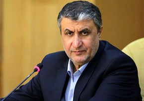 В Иране заявили о продолжении сокращения обязательств по СВПД