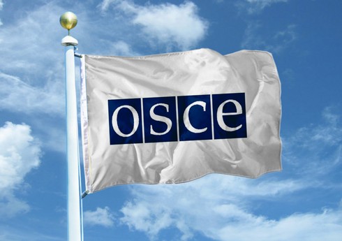 ПА ОБСЕ начала формирование миссии наблюдателей за парламентскими выборами в Азербайджане