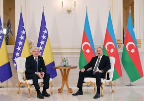 Ilham Aliyev meets member of Presidium of Bosnia and Herzegovina
