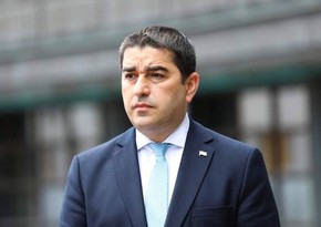 Speaker of Parliament: Donor organizations make terrorism common in Georgia