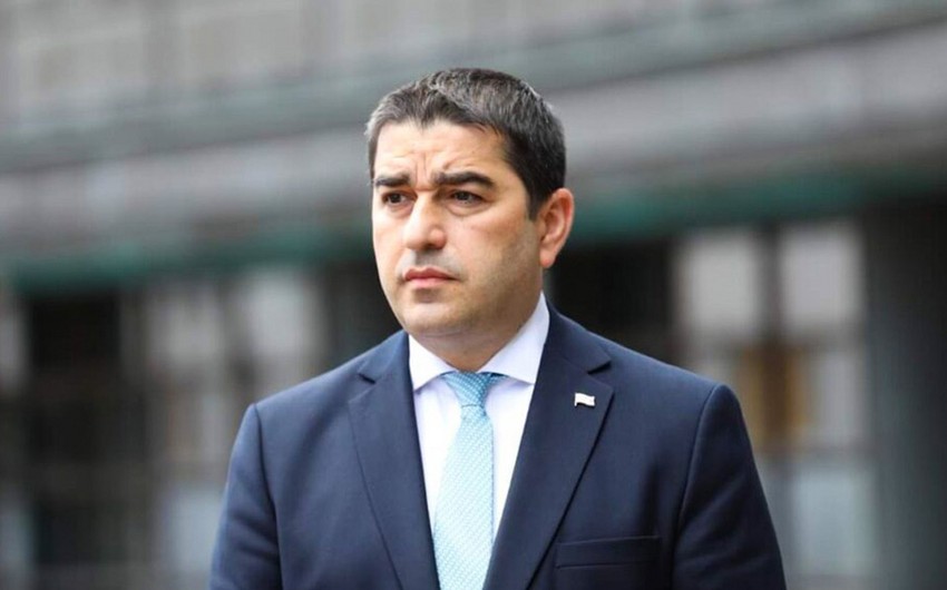 Şalva Papuaşvili: Donor təşkilatları Gürcüstanda terroru adi hala çevirirlər