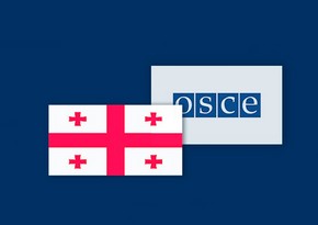  Представители БДИПЧ ОБСЕ провели встречи с грузинской оппозицией