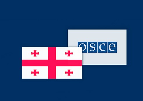  Представители БДИПЧ ОБСЕ провели встречи с грузинской оппозицией